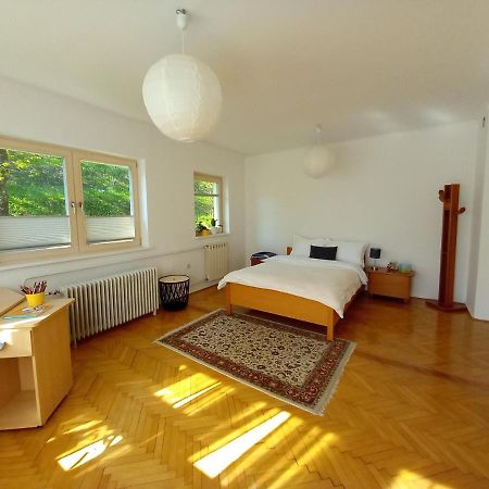 Lovely 2-Bedroom Appartment With Free Parking Dobrova Exterior photo
