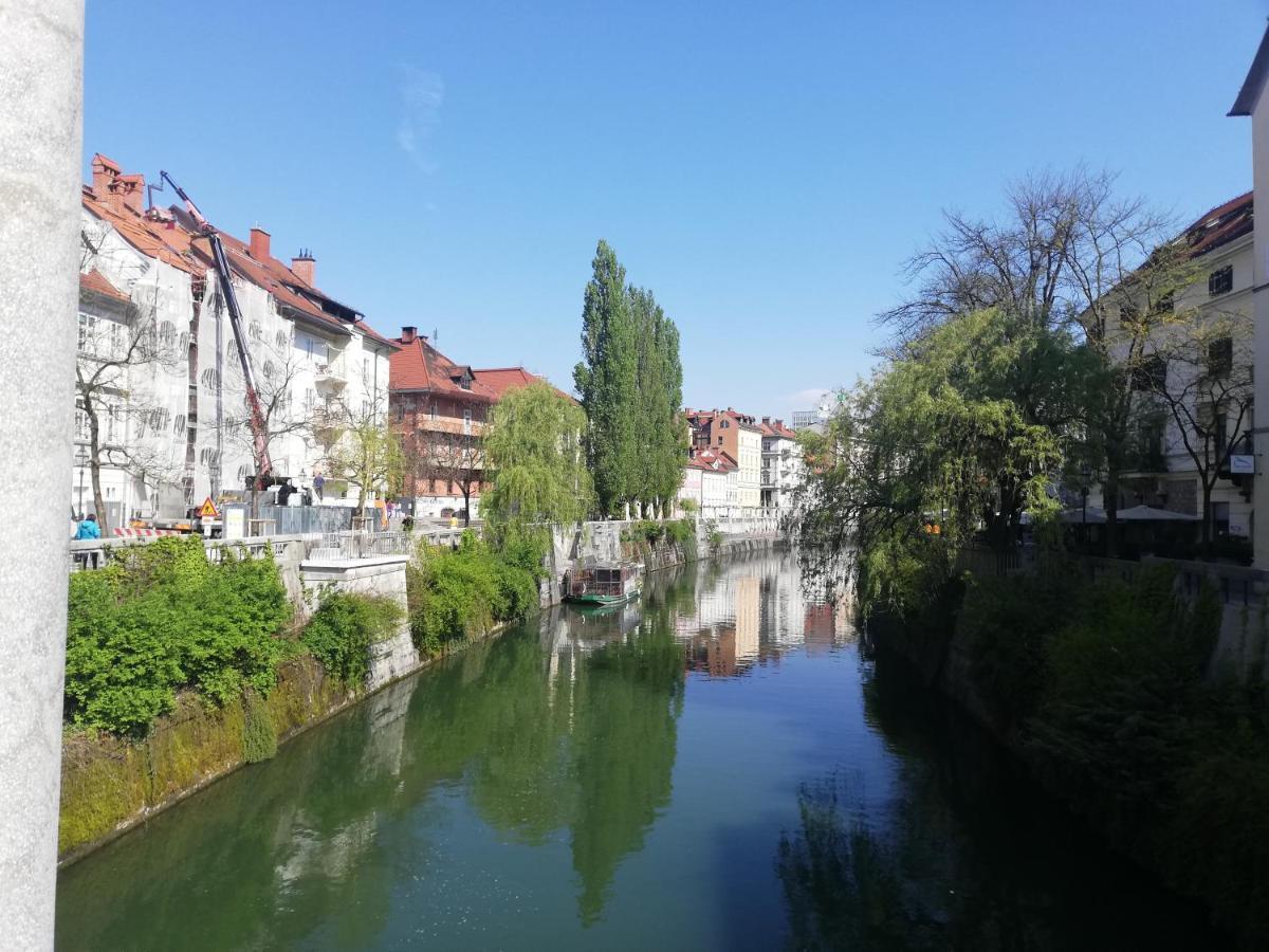 Lovely 2-Bedroom Appartment With Free Parking Dobrova Exterior photo