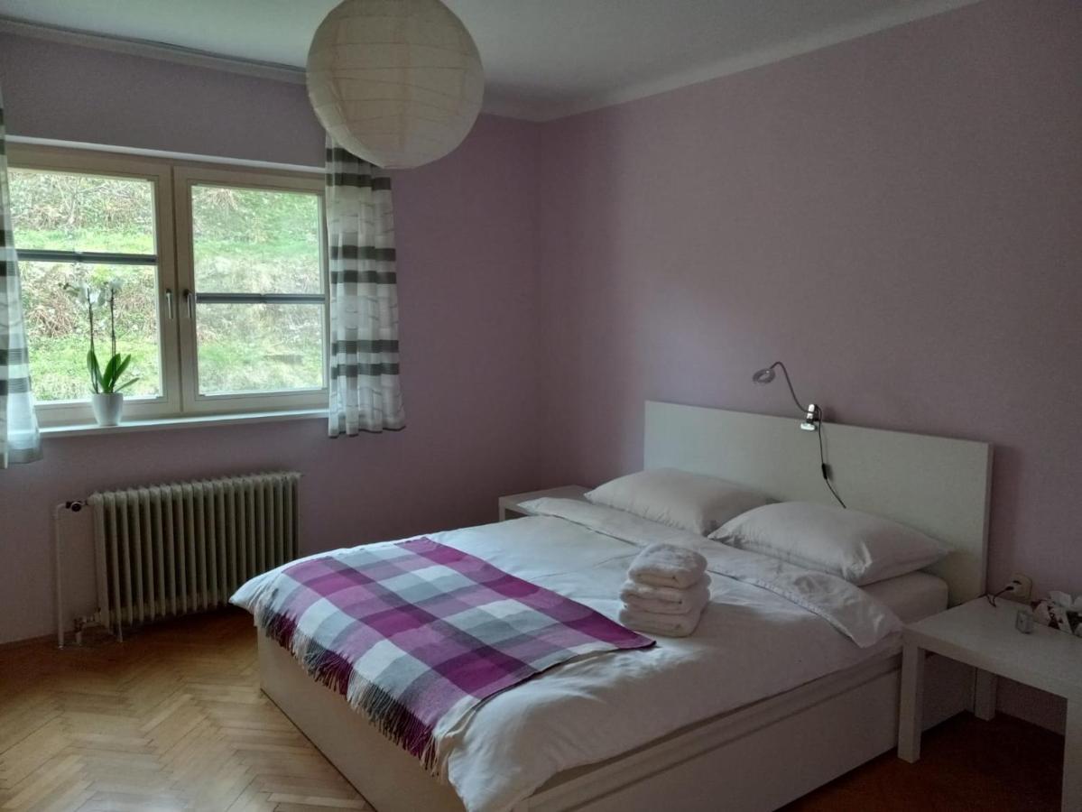 Lovely 2-Bedroom Appartment With Free Parking Dobrova Exterior photo